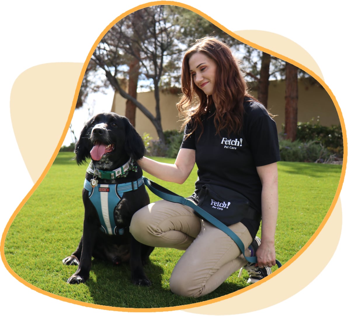 Pet Sitter in Cat Mountain, TX